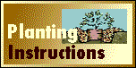 Planting Instructions