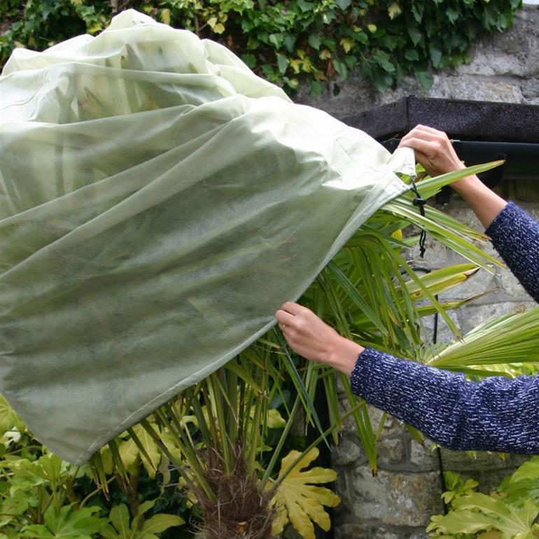 Grow Potatoes in Grow Bags - Alden Lane Nursery