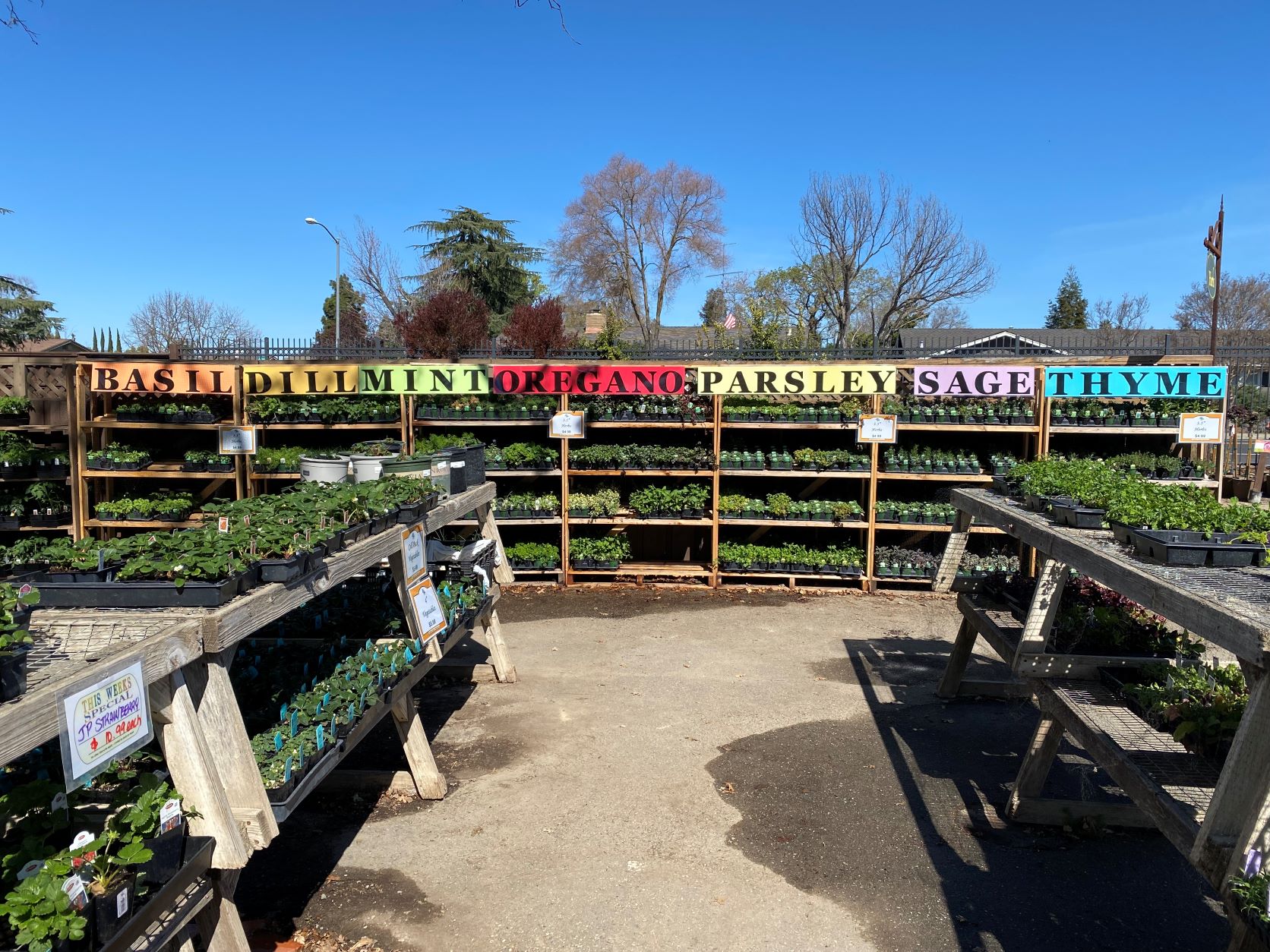 Grow Potatoes in Grow Bags - Alden Lane Nursery