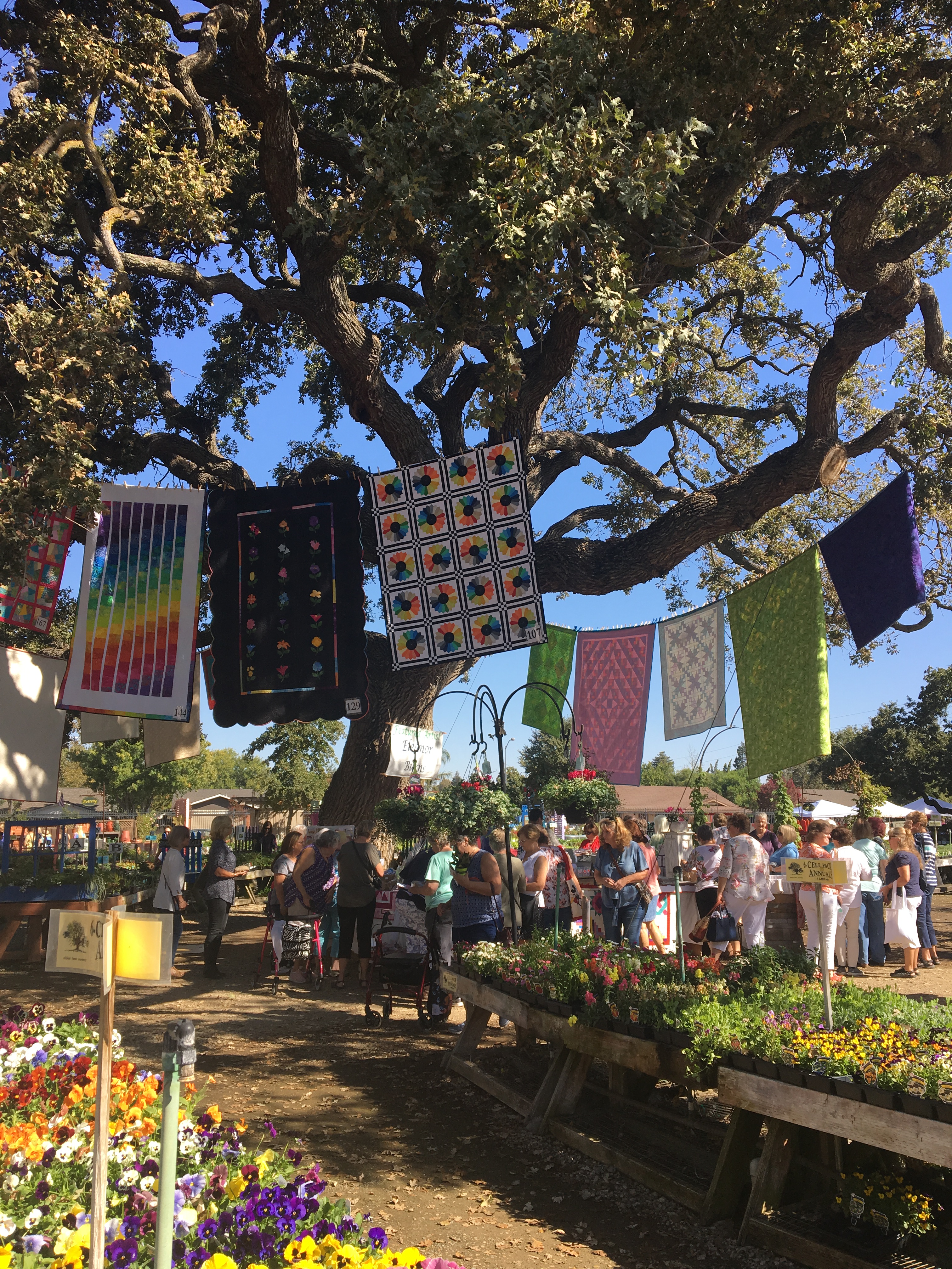 Quilt Show Alden Lane Nursery