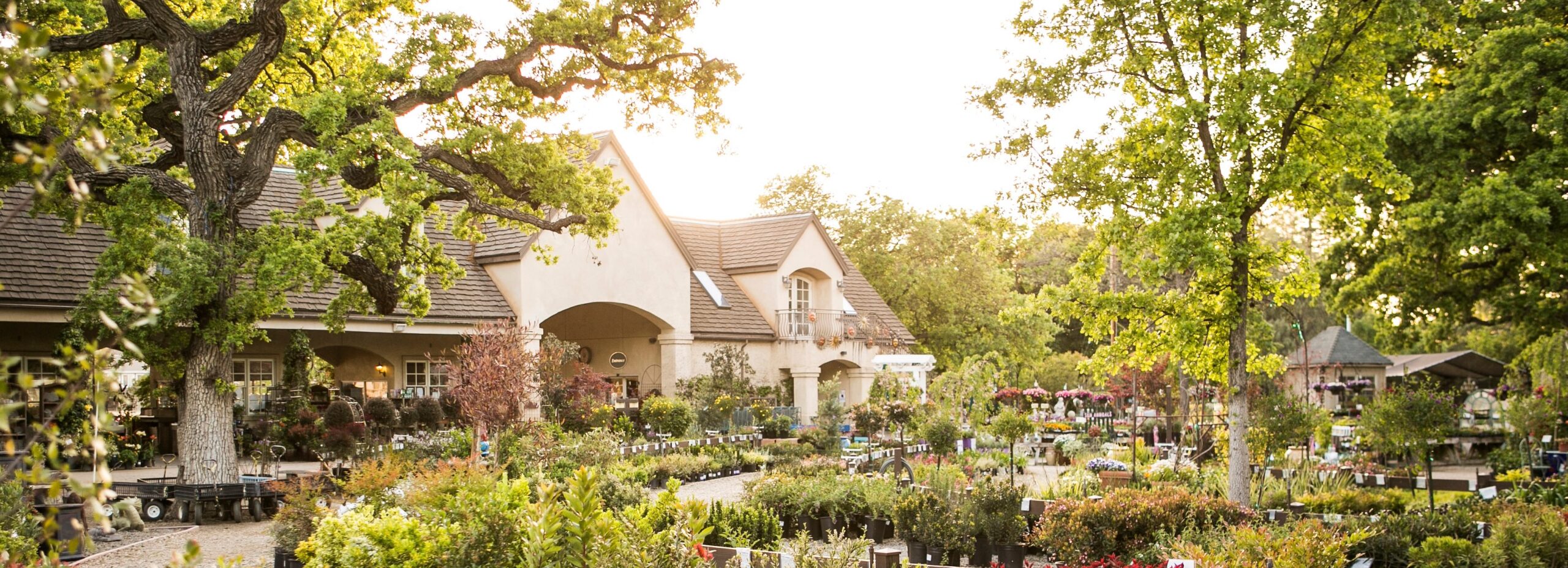 Home - Alden Lane Nursery